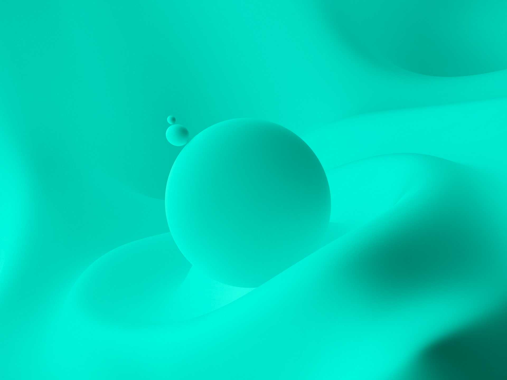 Ridaly 12 mejores agencias de creación de webs 12 mejores agencias de creación de webs