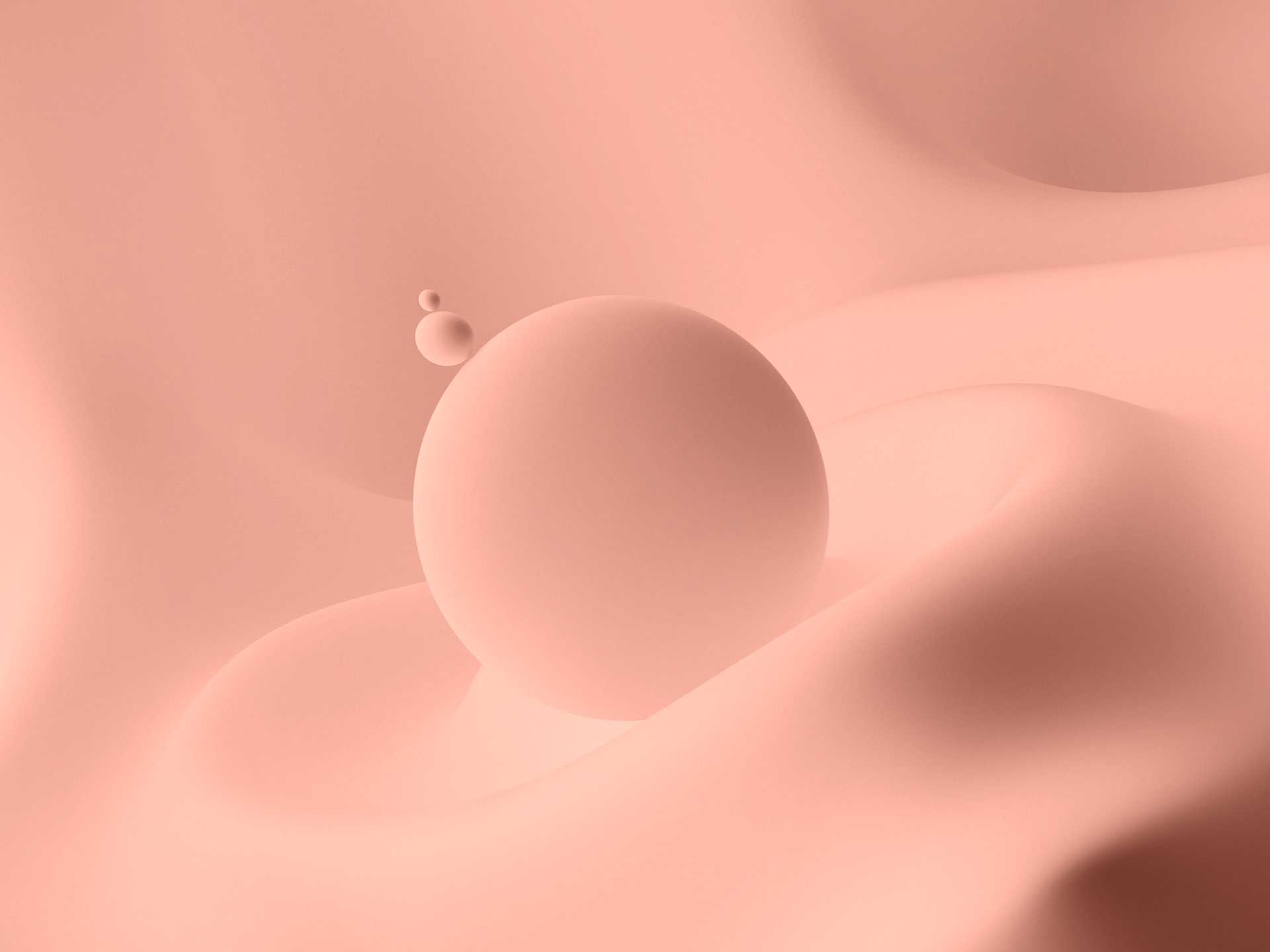 Ridaly Logra diseñar un sitio web impresionante Logra diseñar un sitio web impresionante