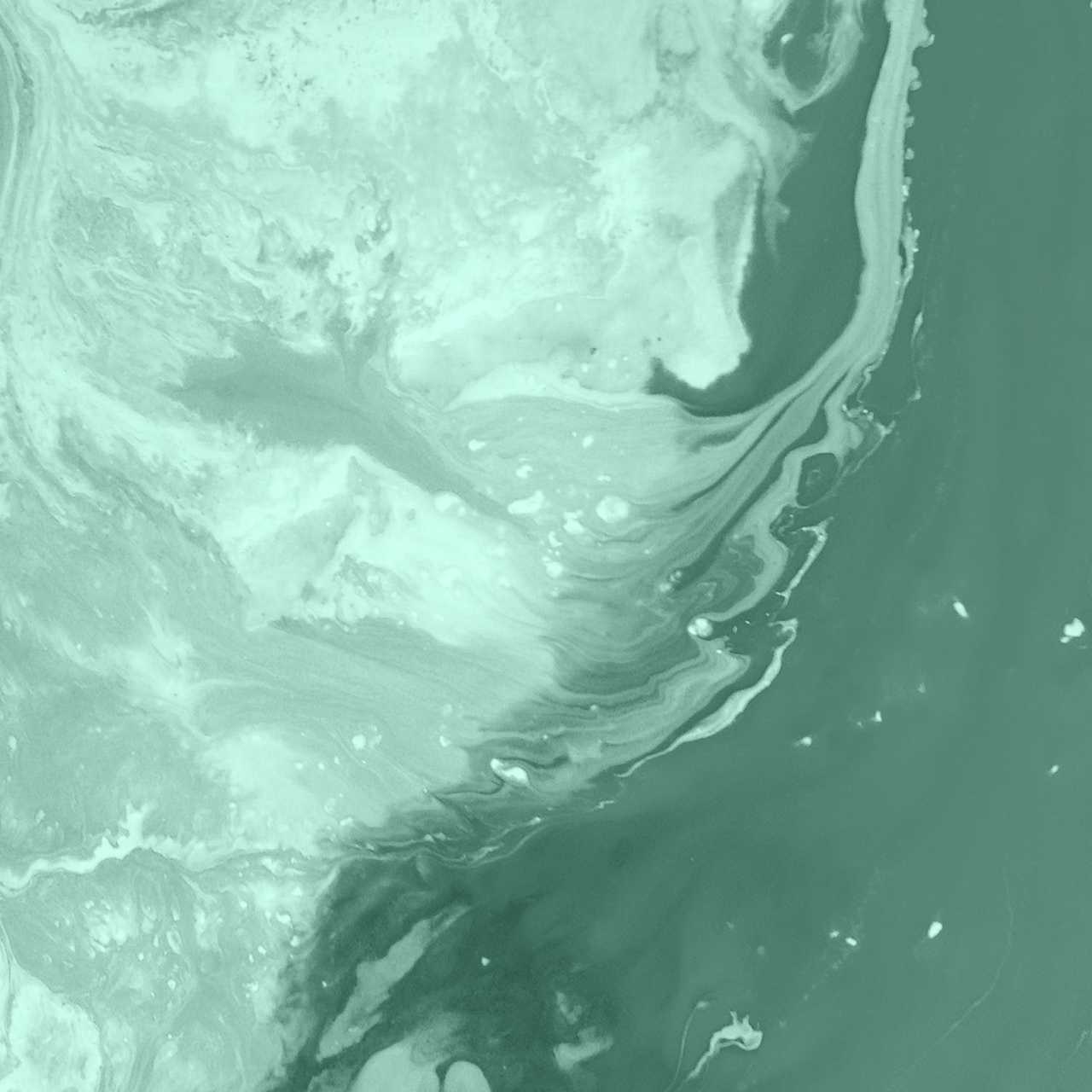 Ridaly 3D: nuevas modas de diseño web 3D: nuevas modas de diseño web