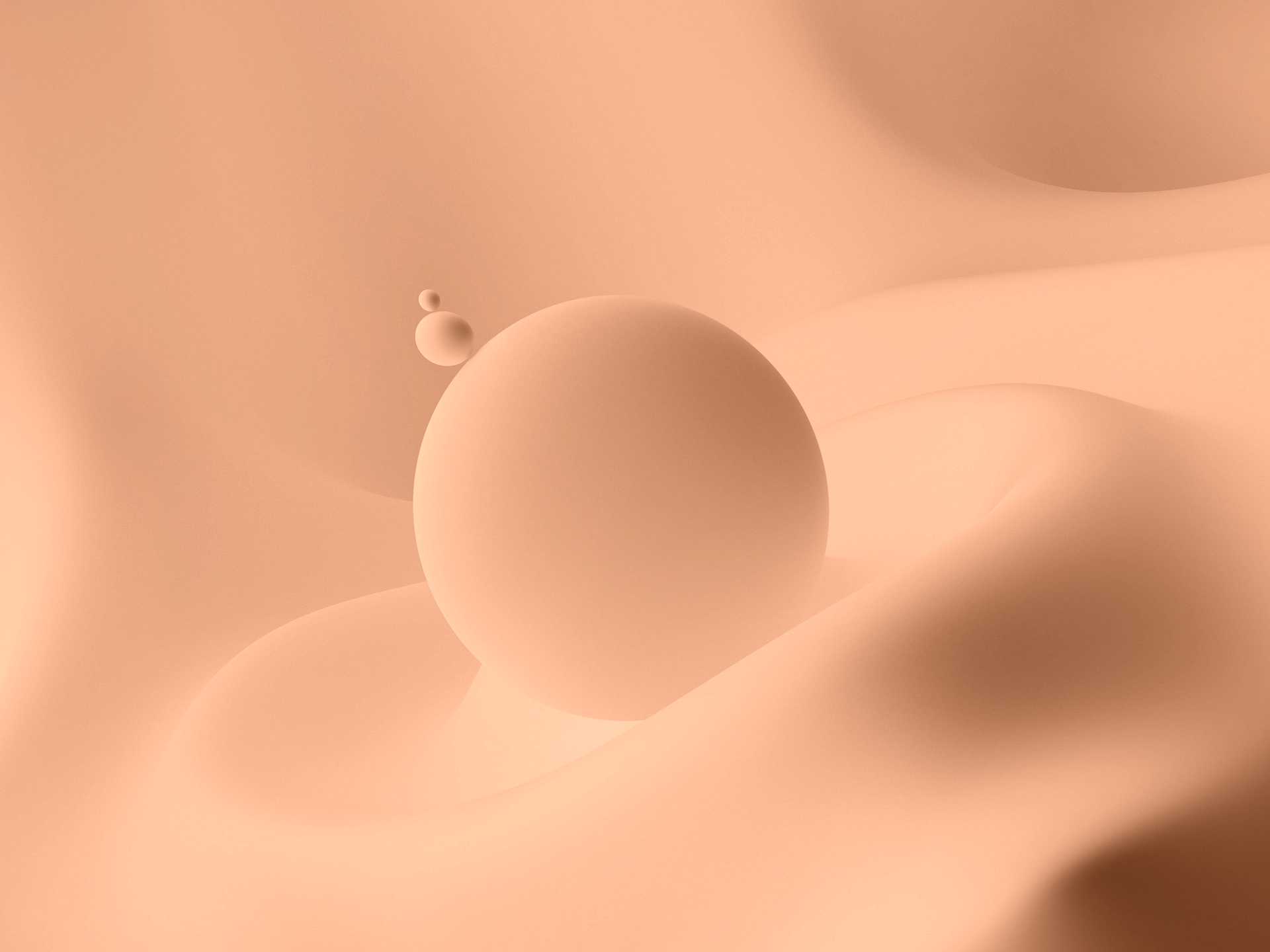 Ridaly Los creadores visuales web mejores Los creadores visuales web mejores