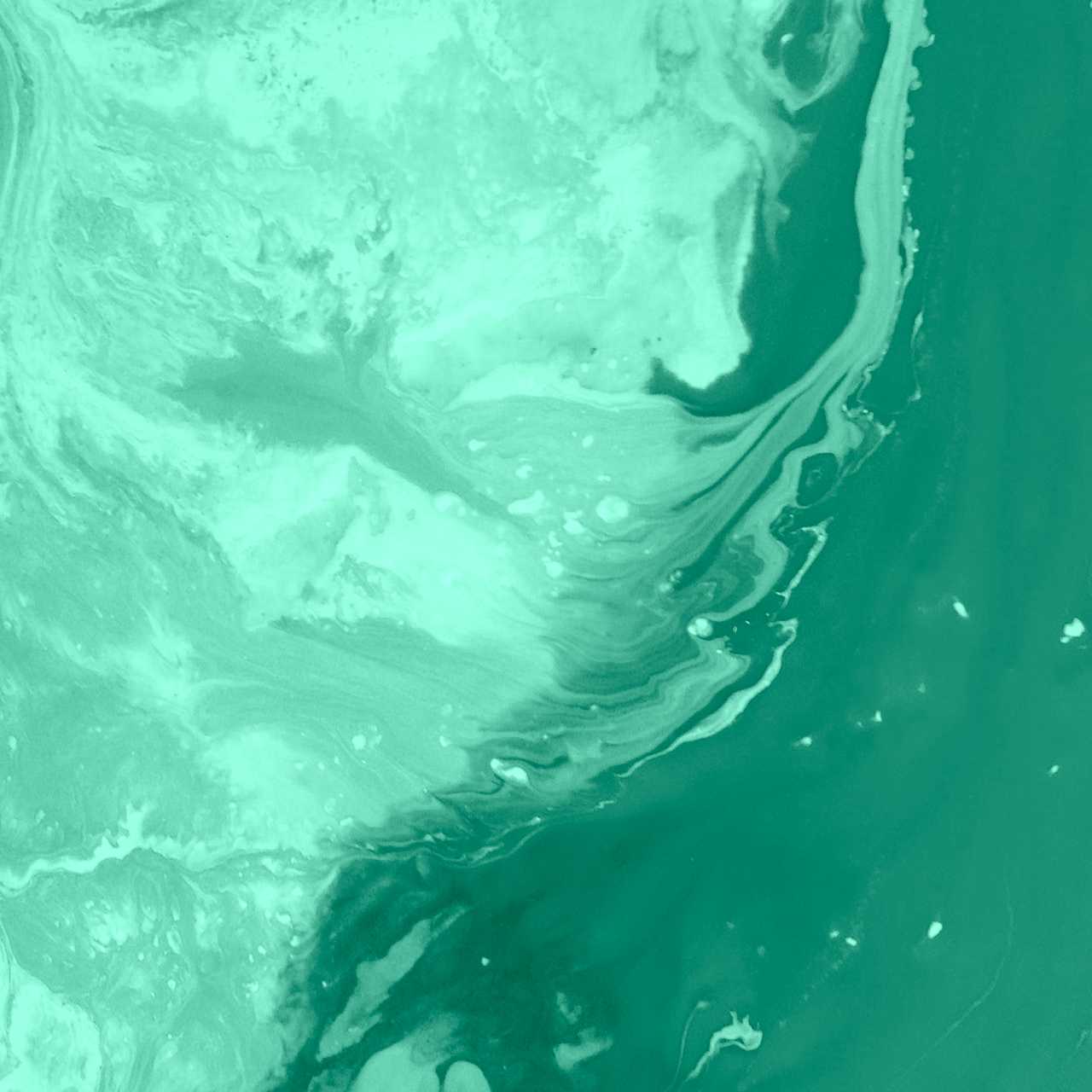 Presupuesto desarrollo web en Palma