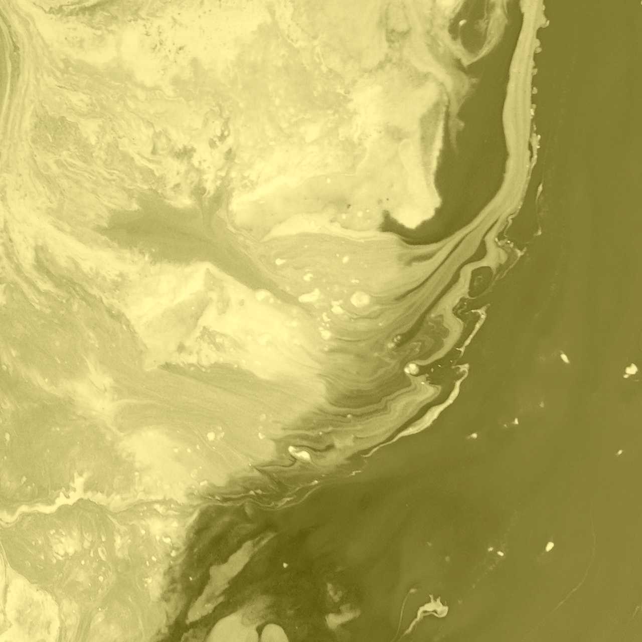 Ridaly Las mejores plantillas web de Squarespace baratas Las mejores plantillas web de Squarespace baratas